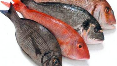 Desarrollan un sistema para medir el pescado con inteligencia artificial