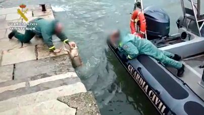 El aplaudido rescate de una perra por agentes de la Guardia Civil