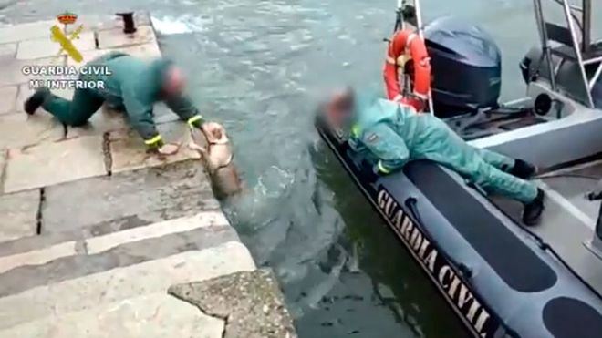 El aplaudido rescate de una perra por agentes de la Guardia Civil
