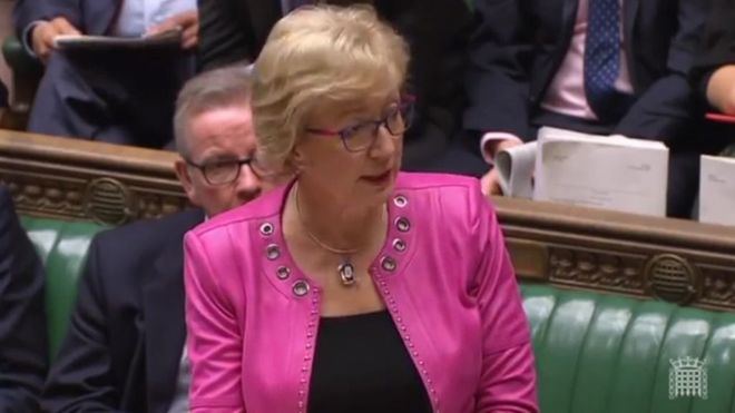 Dimite la jefa de los 'tories' porque no cree que May cumpla con el Brexit