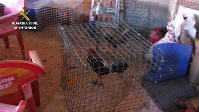 Vuelve la bombilla tradicional