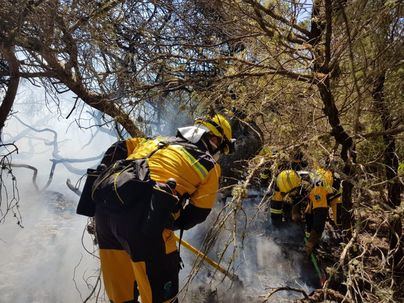El fuego arrasa 57.697 hectáreas en España hasta principios de agosto