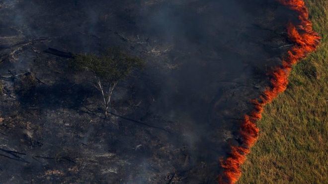Desastre medioambiental en Brasil: Los incendios aumentan un 83 por ciento