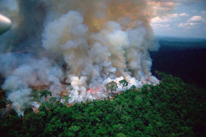 Bolsonaro culpa a las ONG de los incendios en el Amazonas