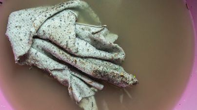 El 79 por ciento de los hogares no desinfectan las bayetas convirtiéndolas en un peligro cargado de bacterias
