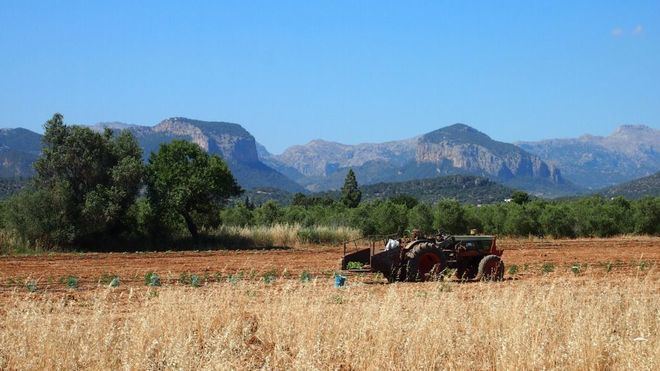 Los anticipos de las ayudas de la PAC a agricultores y ganaderos se repartirán la próxima semana