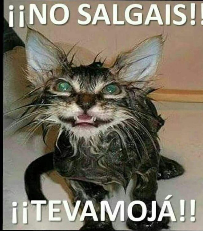 Pasados por agua