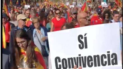 Foto: @mosmovem
Vídeo: Cosme Bernat Brull