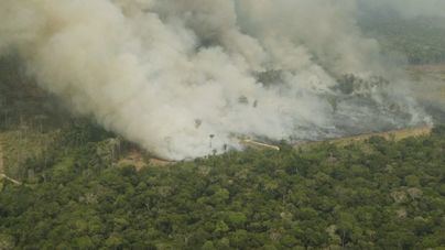 Científicos culpan a la deforestación de los incendios en el Amazonas