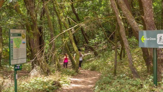 La Gomera pone a punto su red de senderos con una inversión de 3 millones de euros