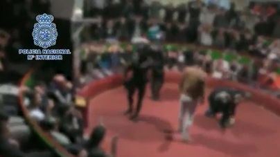 La policía interviene en una pelea de gallos en Cádiz