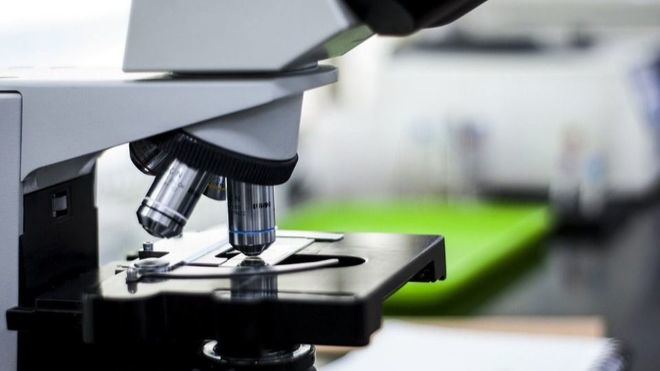 ¿Cómo es el coronavirus visto con un microscopio electrónico?