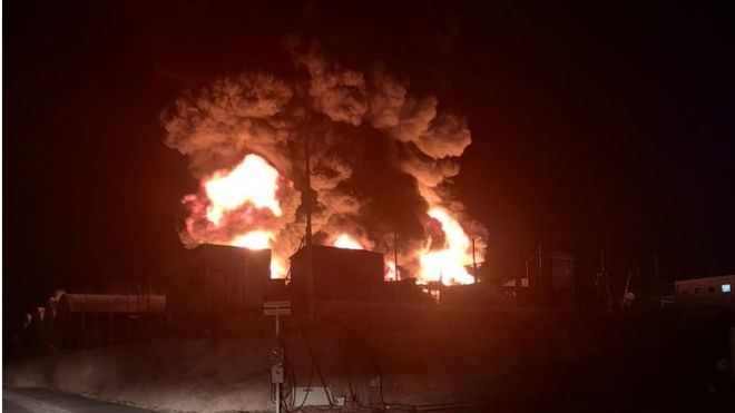 Tragedia en un zoo alemán: 30 animales mueren en un incendio probablemente causado por pirotecnia