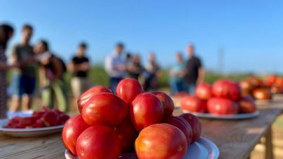 Los agricultores calculan pérdidas de 5.400 millones en productos sin vender a hoteles y restaurantes