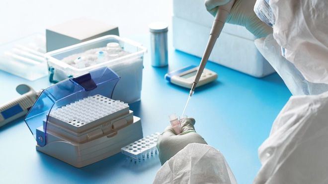 La UIB asocia la mortalidad por Covid a la falta de hierro, zinc y vitaminas D, C y B12