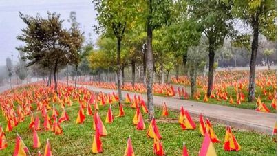 Miles de banderas españolas a orillas del Guadalquivir por los muertos de Covid 19