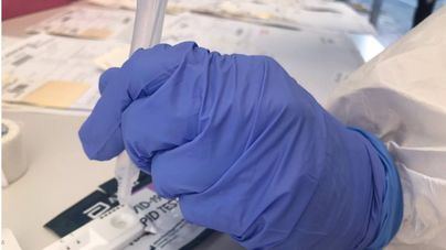 Científicos europeos unen sus conocimientos para asesorar a los gobiernos sobre la Covid