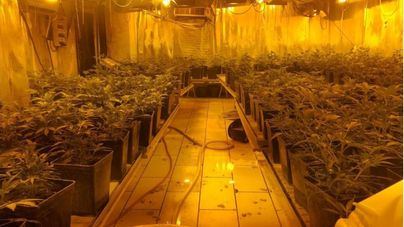 La mitad de los españoles está a favor de legalizar la marihuana