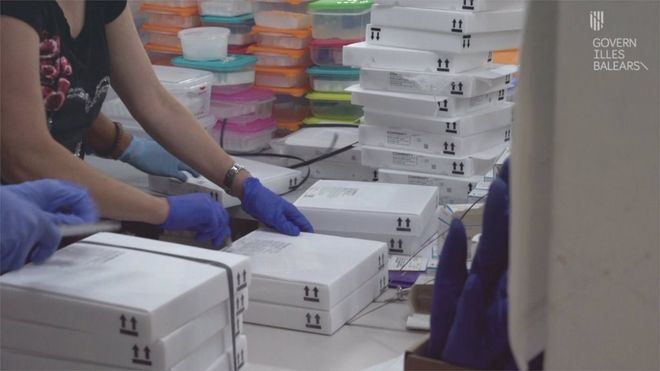 Un total de 13 muertes en una jornada con cerca de 2.000 casos en España