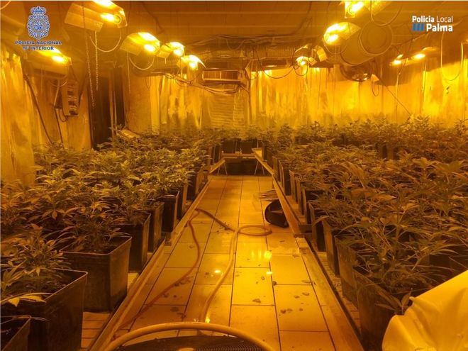 El Congreso rechaza con los votos del PSOE, PP y Vox la legalización total del cannabis