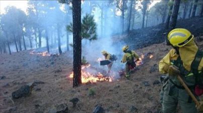 Los bomberos de La Palma realizaron más de 1.400 intervenciones en 2017