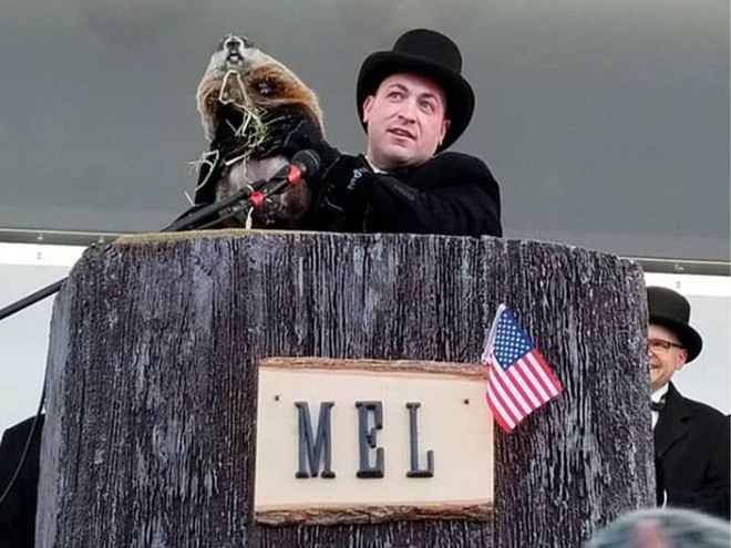 Muere la célebre marmota Milltown Mel horas antes del 'Día de la Marmota'