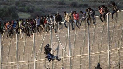 350 migrantes entran en España tras un nuevo asalto masivo a la valla de Melilla
