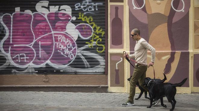 ¿Cuánto cuesta mantener un perro o un gato al año? Esto es lo que dice la OCU