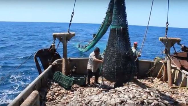 La Eurocámara pide prohibir la pesca de arrastre en áreas protegidas