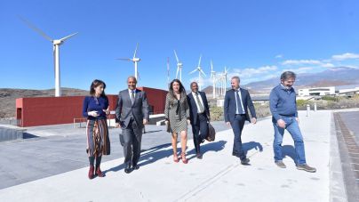 El Cabildo muestra a la colectividad francesa de San Martín la labor del ITER en desarrollo sostenible