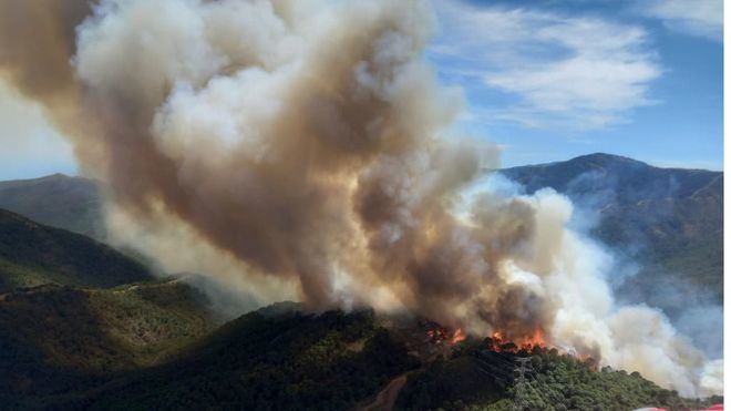 El incendio de Málaga obliga a desalojar a más de 3.000 personas