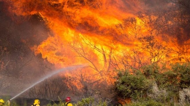 660.000 hectáreas forestales han ardido en Europa, con España a la cabeza