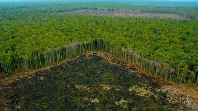 Las claves de la cumbre del clima COP27 en Egipto