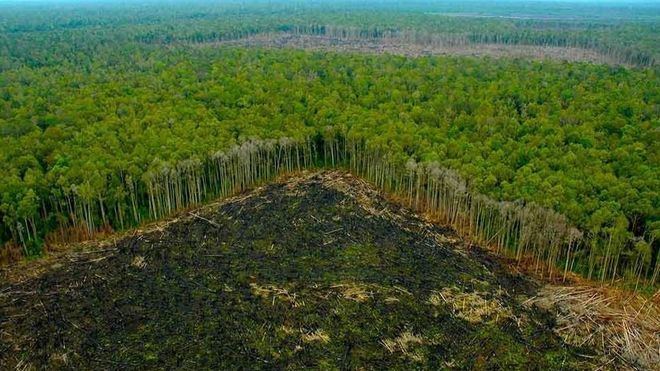 Las claves de la cumbre del clima COP27 en Egipto