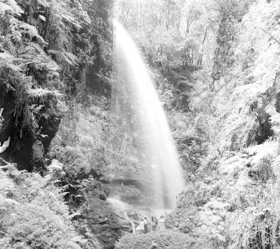 Caminando tras las aguas en La Palma