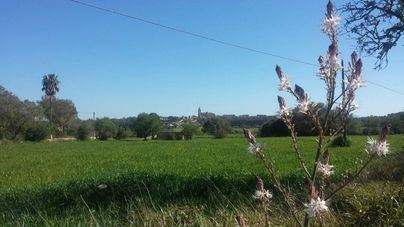 Comienza la primavera con dos eclipses