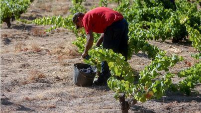 La prohibición de trabajos al aire libre por altas temperaturas entra en vigor