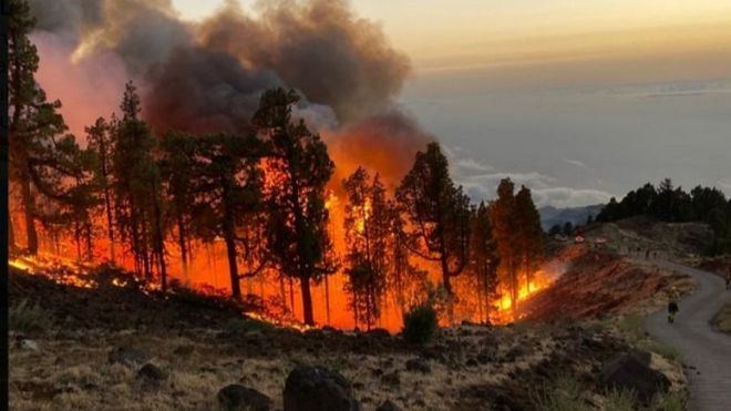 Incendio en La Palma: miles de evacuados y de hectáreas calcinadas