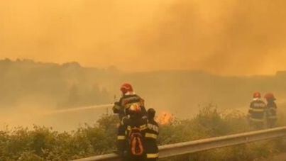 Grecia lucha contra el incendio más grande jamás registrado en Europa