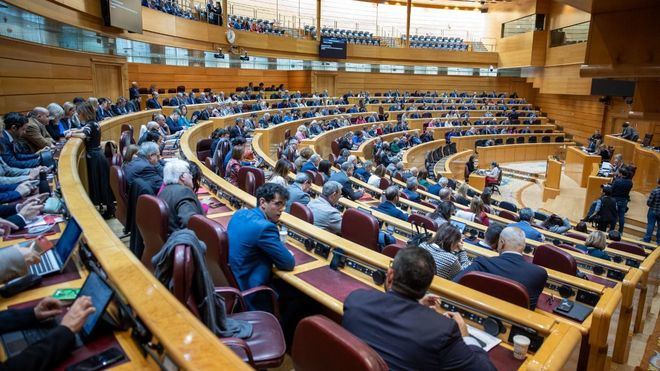 Los letrados del Senado sostienen que la amnistía es inconstitucional