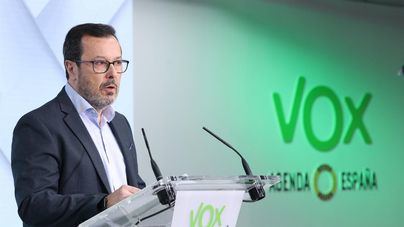 Vox endurecerá su ofensiva por el 'caso Koldo' y se querellará contra Armengol