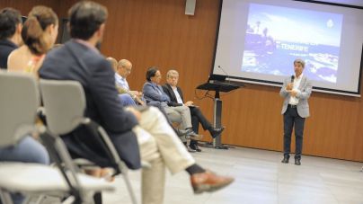 El Cabildo analiza con los municipios el fenómeno del alquiler vacacional en Tenerife