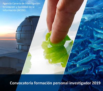 Economía fortalece el espacio canario de investigación con más de 2,6 millones de euros