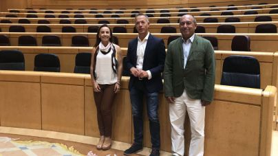 El PSOE apoyará en el Senado el nuevo Estatuto de Autonomía de Canarias
