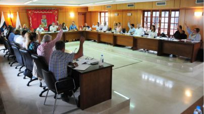 San Bartolomé de Tirajana pide al Gobierno una moratoria a las tarjetas de transporte en el ámbito turístico