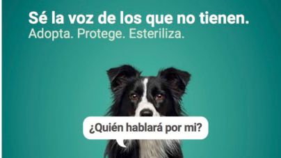 Campaña “Quén hablará por mi” contra el maltrato animal