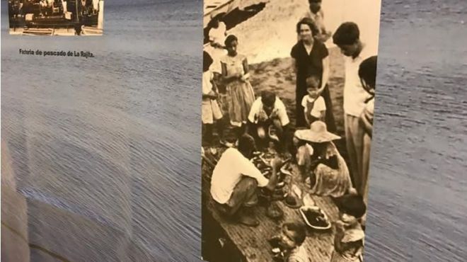 Mujeres luchadoras que sustentan nuestro entorno rural