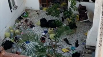 Denuncian la situación de una mujer mayor, con síndrome de diógenes y Noé, que vive con más de 30 gatos en Gran Canaria