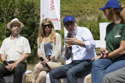 El Cabildo colabora con la sociedad civil y la empresa HPS en la reforestación de Gran Canaria