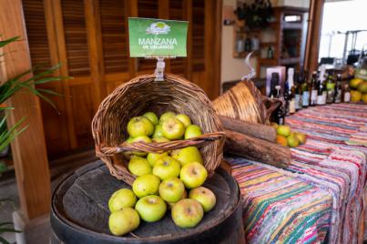 Cabildo, Ayuntamiento de Valleseco, COAG y SPAR Gran Canaria firman el primer convenio para comercializar la manzana reineta